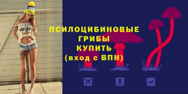 Альфа ПВП Балахна