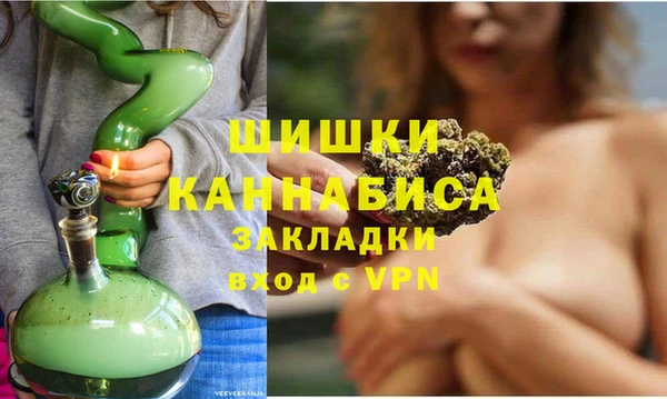 стаф Пестово